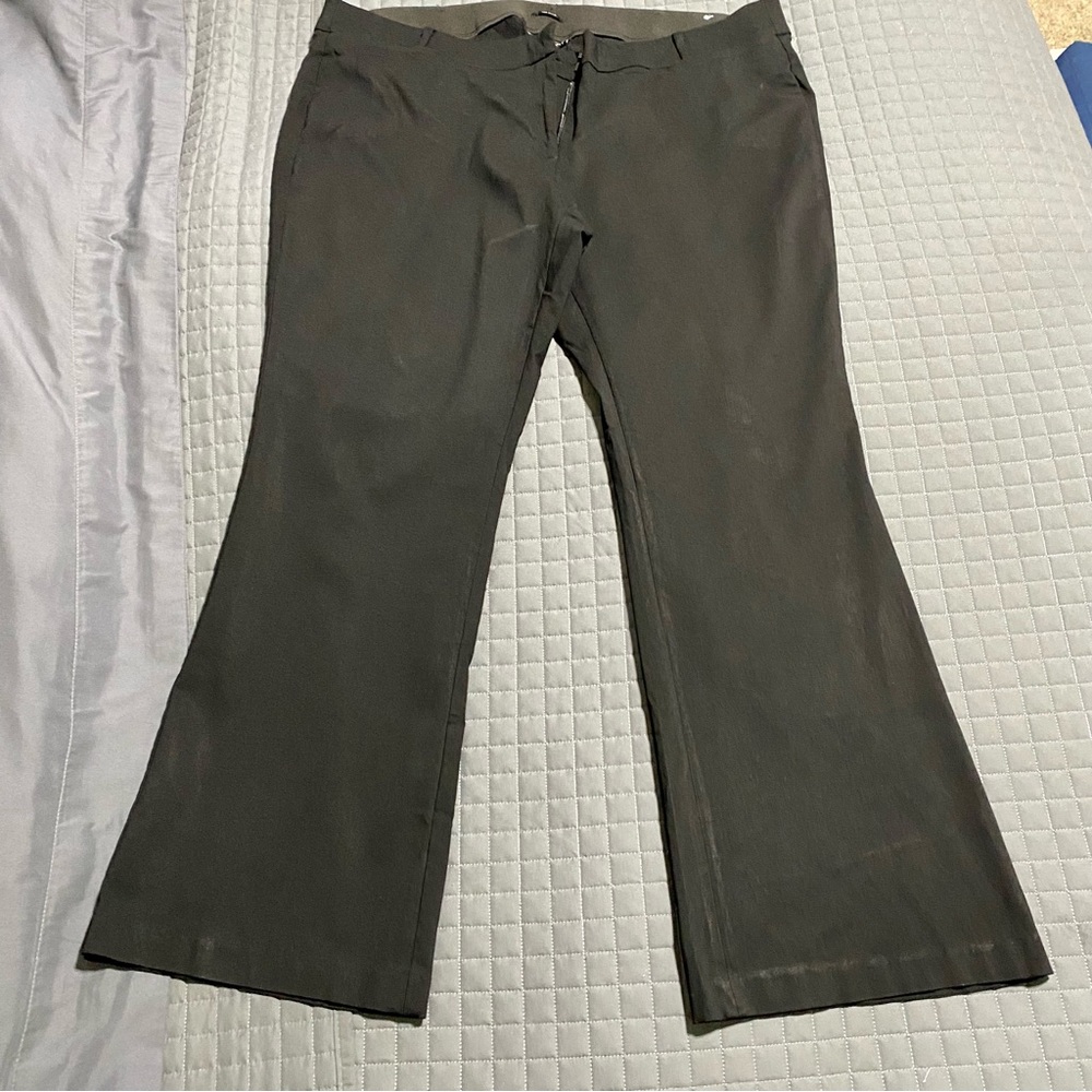 Lane Bryant Black Allie Pants 24L